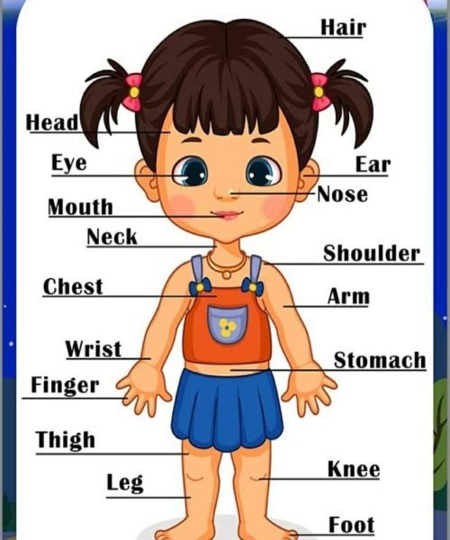 WhatsApp Image 2024-03-09 at 4.13.48 PM